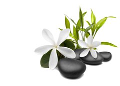 Samolepka flie 200 x 144  Spa still life with white flowers, 200 x 144 cm