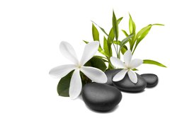 Fototapeta pltno 240 x 174, 27276964 - Spa still life with white flowers - Lzesk zti s blmi kvty