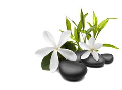 Fototapeta330 x 244  Spa still life with white flowers, 330 x 244 cm