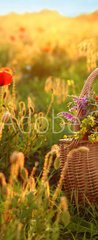 Samolepka na dvee flie 90 x 220, 276027409 - Basket of wildflowers with straw hat in sunlit poppy field