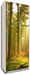 Samolepka na lednici fólie 80 x 200, 27621934 - Beautiful Forest - Krásný les