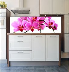 Fototapeta do kuchyn flie 180 x 60  pink orchid, 180 x 60 cm