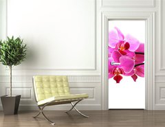 Samolepka na dvee flie 90 x 220, 2768352 - pink orchid