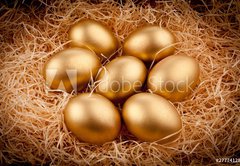 Samolepka flie 145 x 100, 27774128 - Golden eggs - Zlat vejce