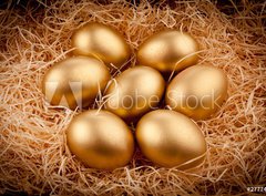 Fototapeta330 x 244  Golden eggs, 330 x 244 cm