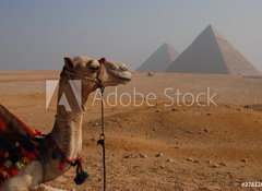 Samolepka flie 100 x 73, 27812689 - Egipt
