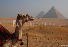 Fototapeta pltno 174 x 120, 27812689 - Egipt