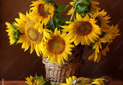 Fototapeta174 x 120  sunflover, 174 x 120 cm