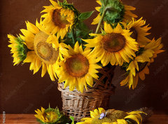 Fototapeta330 x 244  sunflover, 330 x 244 cm