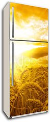 Samolepka na lednici flie 80 x 200  Golden sunset over wheat field, 80 x 200 cm