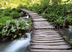 Fototapeta vliesov 100 x 73, 28215614 - bridge in the woods - most v lese