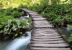 Samolepka flie 145 x 100, 28215614 - bridge in the woods - most v lese
