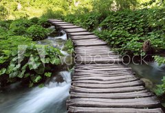 Fototapeta174 x 120  bridge in the woods, 174 x 120 cm