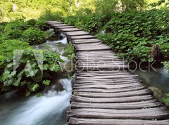 Fototapeta vliesov 270 x 200, 28215614 - bridge in the woods - most v lese