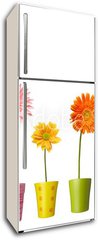 Samolepka na lednici flie 80 x 200  flower nature garden botany daisy bloom pot, 80 x 200 cm