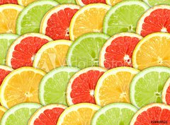 Fototapeta330 x 244  Background with citrus fruit slices, 330 x 244 cm