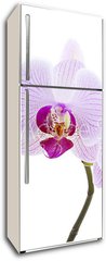 Samolepka na lednici fólie 80 x 200, 28589328 - Pink Orchid - Růžová orchidej