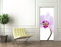 Samolepka na dvee flie 90 x 220, 28589328 - Pink Orchid