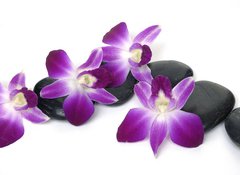 Fototapeta100 x 73  Spa essentials orchid with pyramid of stones, 100 x 73 cm