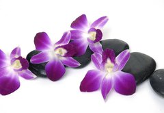 Fototapeta pltno 174 x 120, 28681934 - Spa essentials-orchid with pyramid of stones