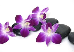 Fototapeta184 x 128  Spa essentials orchid with pyramid of stones, 184 x 128 cm