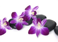 Samolepka flie 200 x 144, 28681934 - Spa essentials-orchid with pyramid of stones