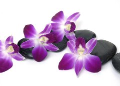 Fototapeta vliesov 200 x 144, 28681934 - Spa essentials-orchid with pyramid of stones