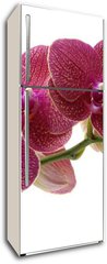 Samolepka na lednici fólie 80 x 200, 28681970 - Macro of a beautiful pink orchid
