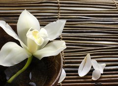 Samolepka flie 100 x 73, 28682309 - bowl of orchid, petal on bamboo mat