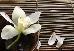 Fototapeta145 x 100  bowl of orchid, petal on bamboo mat, 145 x 100 cm
