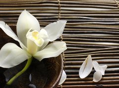 Fototapeta360 x 266  bowl of orchid, petal on bamboo mat, 360 x 266 cm