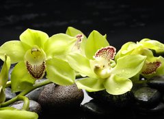 Fototapeta papr 254 x 184, 28704668 - Wellness concept with zen stone and orchid