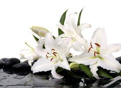 Samolepka flie 100 x 73, 28705565 - madonna lily and spa stone - madonna lily a lzesk kmen