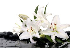 Fototapeta vliesov 145 x 100, 28705565 - madonna lily and spa stone