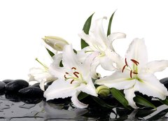 Samolepka flie 200 x 144, 28705565 - madonna lily and spa stone