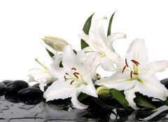 Fototapeta pltno 240 x 174, 28705565 - madonna lily and spa stone