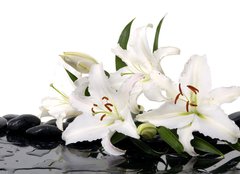 Fototapeta254 x 184  madonna lily and spa stone, 254 x 184 cm