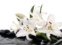 Fototapeta pltno 330 x 244, 28705565 - madonna lily and spa stone