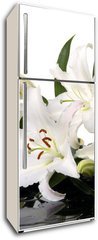 Samolepka na lednici flie 80 x 200, 28705565 - madonna lily and spa stone