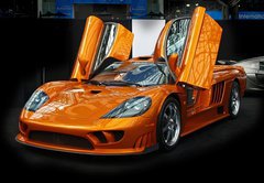Samolepka flie 145 x 100, 2873017 - international auto show