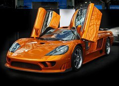 Samolepka flie 200 x 144, 2873017 - international auto show