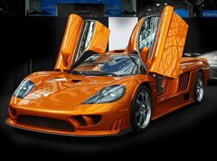Samolepka flie 270 x 200, 2873017 - international auto show