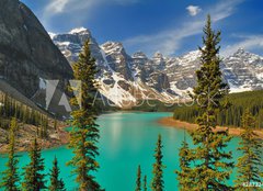 Fototapeta160 x 116  Moraine Lake Afternoon, 160 x 116 cm