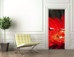 Samolepka na dvee flie 90 x 220  rote Gerbera mit Wassertropfen, 90 x 220 cm