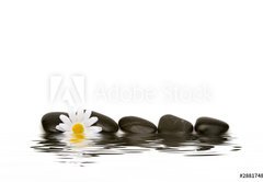 Fototapeta pltno 174 x 120, 2881748 - spa stones and daisy