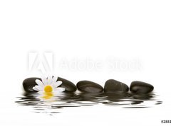 Samolepka flie 270 x 200, 2881748 - spa stones and daisy