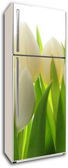 Samolepka na lednici flie 80 x 200  Tulips, 80 x 200 cm