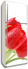 Samolepka na lednici flie 80 x 200, 28823275 - Tulpen