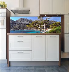 Fototapeta do kuchyn flie 180 x 60  Pin du littoral dans les calanques de Marseille, 180 x 60 cm