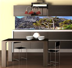 Fototapeta do kuchyně fólie 260 x 60, 28863354 - Pin du littoral dans les calanques de Marseille